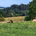 Дом отдыха Garth At Wetheral *