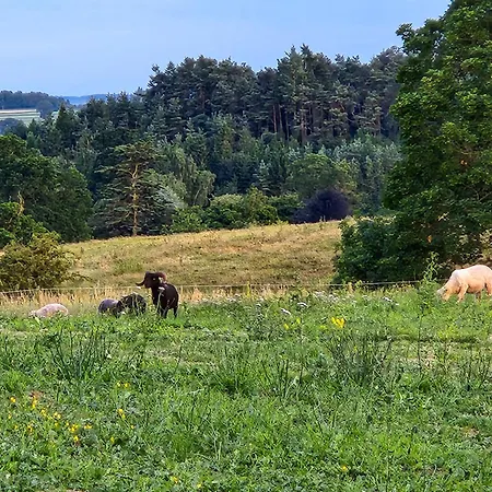 בית נופש Garth At Wetheral *